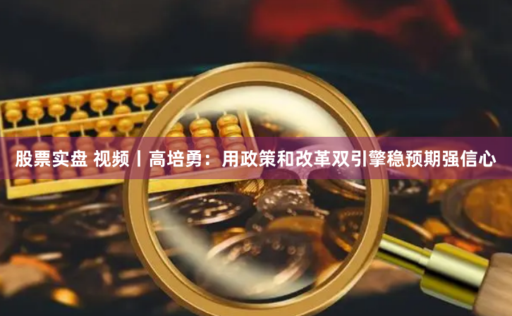股票实盘 视频丨高培勇：用政策和改革双引擎稳预期强信心