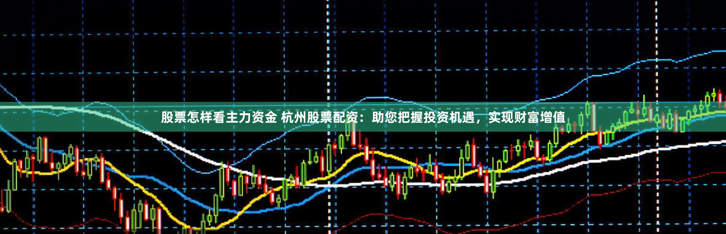 股票怎样看主力资金 杭州股票配资：助您把握投资机遇，实现财富增值