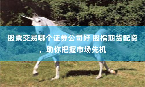 股票交易哪个证券公司好 股指期货配资，助你把握市场先机