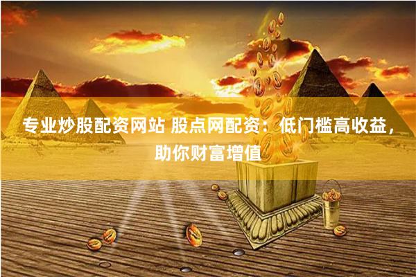 专业炒股配资网站 股点网配资：低门槛高收益，助你财富增值