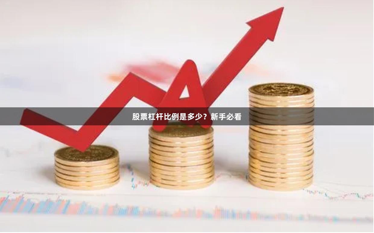 股票杠杆比例是多少？新手必看