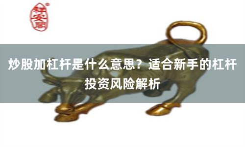 炒股加杠杆是什么意思?适合新手的杠杆投资风险解析