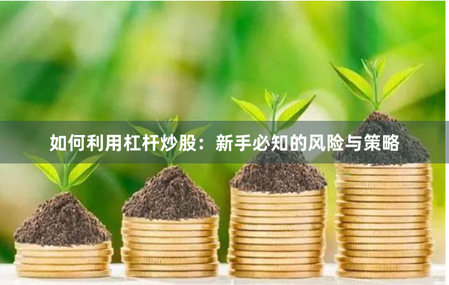 如何利用杠杆炒股：新手必知的风险与策略